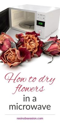 How to Dry Flowers in the Microwave Without Silica: A Journey Through Unconventional Methods and Whimsical Thoughts