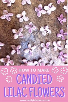 How to Make Candy Flowers: A Sweet Symphony of Art and Flavor