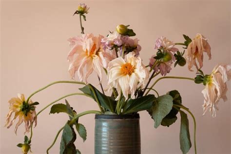 What to Do with Dead Flowers You Want to Keep: A Journey into the Art of Preservation and Beyond